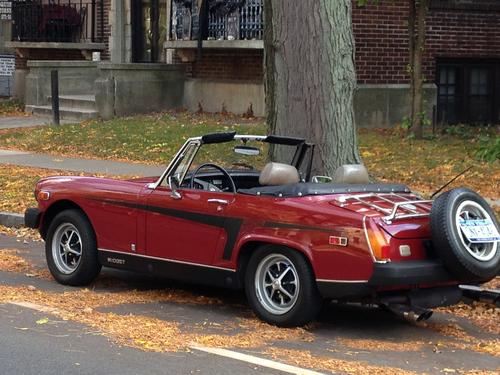 JoeybMG78 Joseph Bellizia